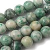 Natural Green Spot Jasper Beads Strands G-F818-A05-14mm-2