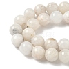 Natural White Moonstone Beads Strands G-F674-08-8mm-01-9