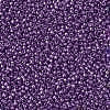 TOHO Round Seed Beads SEED-XTR11-0461-2