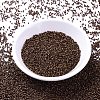MIYUKI Delica Beads SEED-X0054-DB1051-2