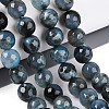 Dyed & Heated Natural Fire Crackle Agate Beads Strands G-N359-01B-03-1