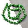 Natural Freshwater Shell Beads Strands BSHE-I016-01D-4
