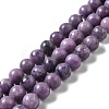 Natural Lepidolite/Purple Mica Stone Beads Strands G-B029-B03-04-1