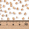 Transparent Inside Colours Glass Seed Beads SEED-T007-13A-4