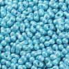 Glass Seed Beads SEED-L011-04A-11-3