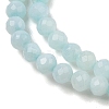 Natural Freshwater Shell Dyed Beads Strands SHEL-R100-12A-02-3