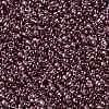TOHO Round Seed Beads SEED-TR11-0201-2