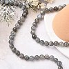 Natural Labradorite Beads Strands G-G448-8mm-04A-6