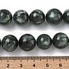 Natural Seraphinite Beads Strands G-C270-O01-13-5