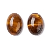 Natural Yellow Tiger Eye Cabochons G-B030-19-2