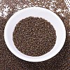 MIYUKI Delica Beads SEED-X0054-DB0287-2