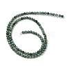 Natural Freshwater Shell Dyed Beads Strands SHEL-R100-12A-05-2