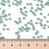 TOHO Round Seed Beads X-SEED-TR08-PF0561-4
