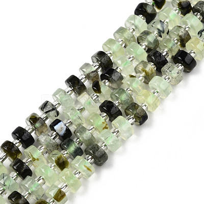 Natural Prehnite Beads Strands G-N327-07H-1