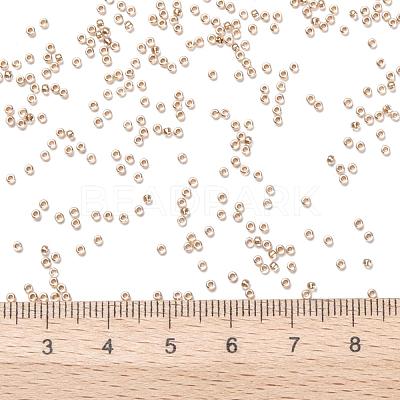 TOHO Round Seed Beads SEED-JPTR15-0989-1