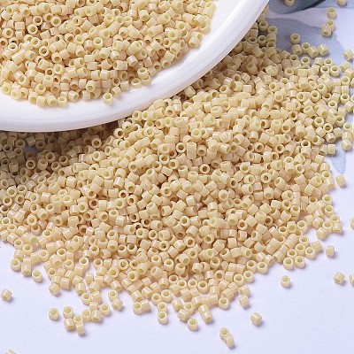 MIYUKI Delica Beads X-SEED-J020-DB1131-1