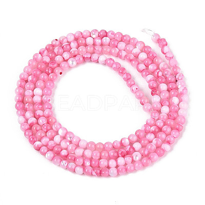 Dyed Natural Trochid Shell/Trochus Shell Beads Strands SSHEL-T017-13E-1