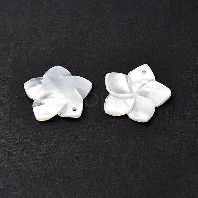 Natural White Shell Mother of Pearl Shell Pendants SSHEL-G014-60-1
