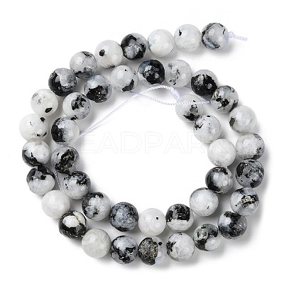 Natural Rainbow Moonstone Beads Strands G-Q1001-A05-04-1