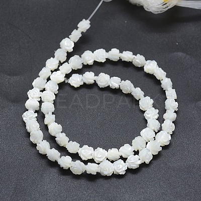 Natural White Shell Beads Strands SSHEL-P015-01A-6mm-1