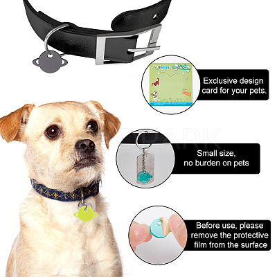 42Pcs 3 Colors Transparent Blank Acrylic Pet Dog ID Tag PALLOY-AB00049-1