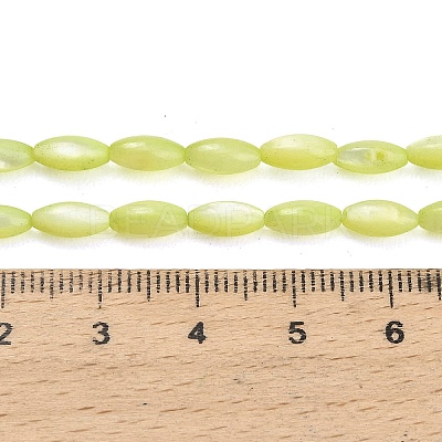 Natural Freshwater Shell Beads Strands X-SHEL-C010-01D-1