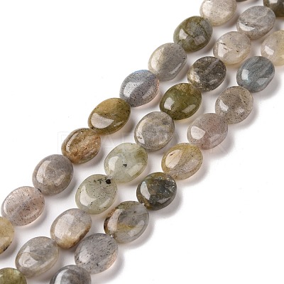 Natural Labradorite Beads Strands G-C238-37-1