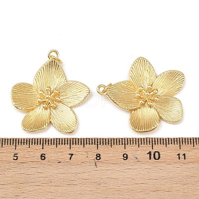 Brass Pendants KK-L255-04G-1