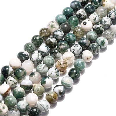 Natural Tree Agate Beads Strands X-G-H1633-8MM-1