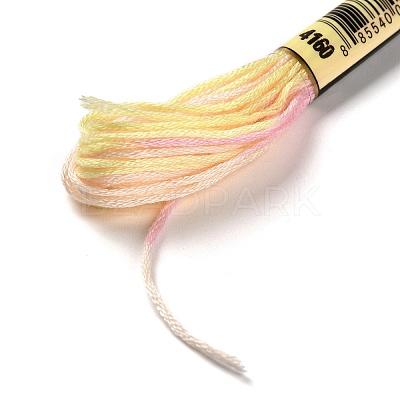 10 Skeins 6-Ply Polyester Embroidery Floss OCOR-K006-A50-1
