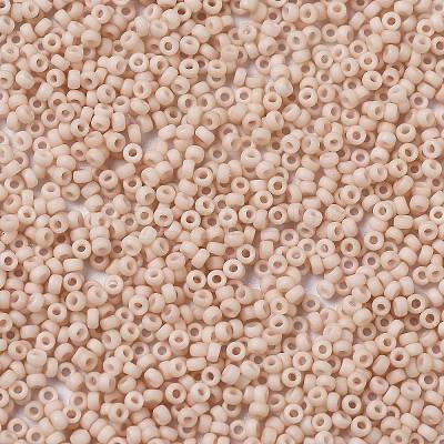 MIYUKI Round Rocailles Beads X-SEED-G009-RR2023-1