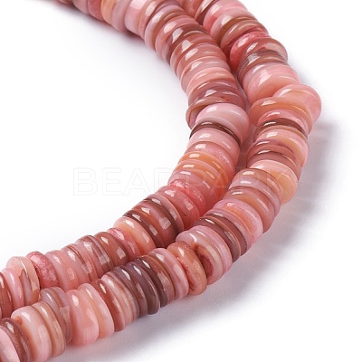 Natural Freshwater Shell Beads Strands BSHE-I016-04E-1