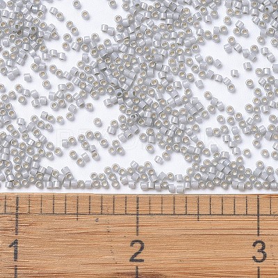 MIYUKI Delica Beads X-SEED-J020-DB1455-1