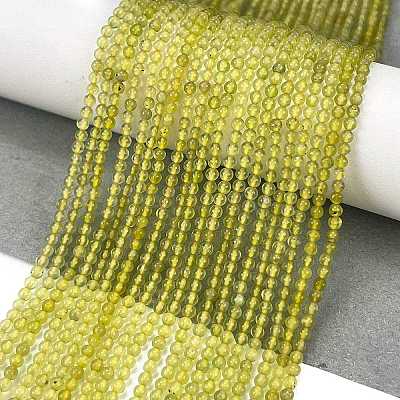 Natural Lemon Quartz(Heated) Beads Strands G-M438-A11-02-1