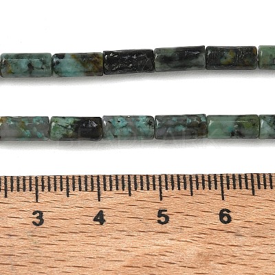 Natural African Turquoise(Jasper) Beads Strands G-B091-A25-01-1