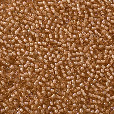 TOHO 11/0 Round Beads X-SEED-TR11-0923-1