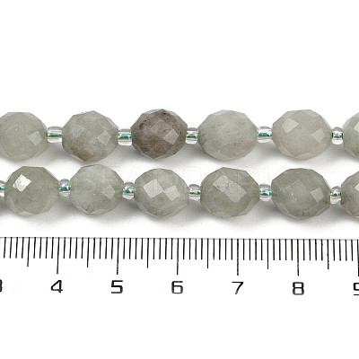 Natural Malaysia Jade Beads Strands G-D305-A01-01D-1