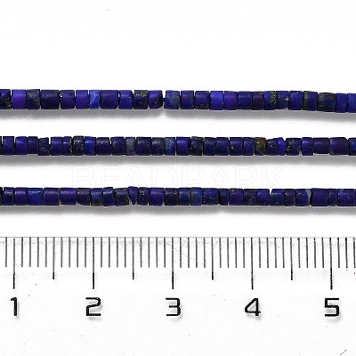 Natural Lapis Lazuli Beads Strands G-Z074-C01-1