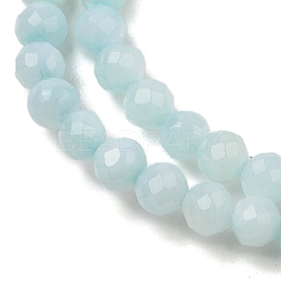 Natural Freshwater Shell Dyed Beads Strands SHEL-R100-12A-02-1