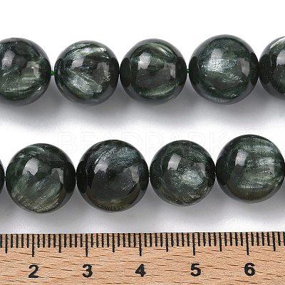Natural Seraphinite Beads Strands G-C270-O01-13-1