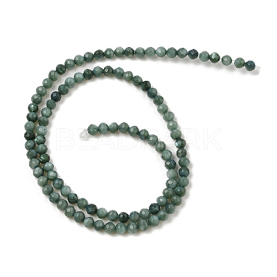 Natural Freshwater Shell Dyed Beads Strands SHEL-R100-12A-05-1