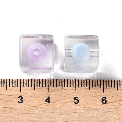 Transparent Acrylic Beads OACR-H112-04F-1