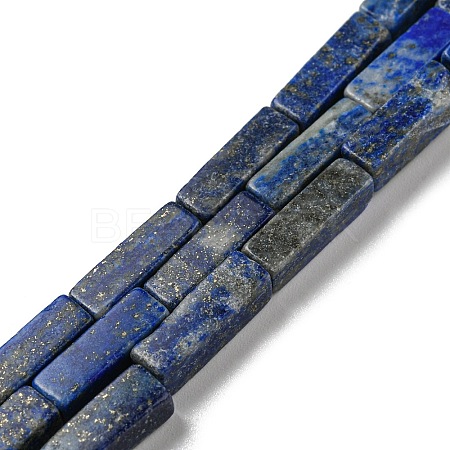 Natural Lapis Lazuli Beads Strands G-C084-C01-01-1