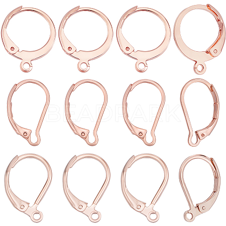 60Pcs 3 Styles 304 Stainless Steel Leverback Earring Findings STAS-BBC0008-30A-1
