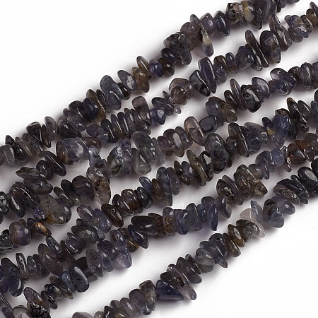 Natural Iolite Beads Strands G-D0002-C48-1