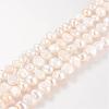 Natural Cultured Freshwater Pearl Beads Strands A02SB015-1