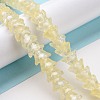 Transparent Glass Beads Strands LAMP-H061-01C-05-2