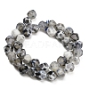 Natural Agate(Dyed & Heated) Beads Strands G-K425-B04-01-5