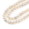 Electroplated Natural Freshwater Shell Beads Strands BSHE-G036-22-3