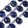Natural Lapis Lazuli Beads Strands G-P544-C10-01-1